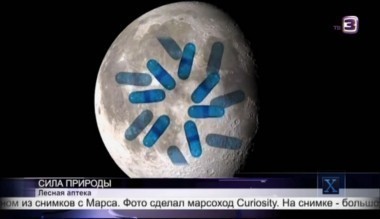 Х-версии. Другие новости | 2 сезон, 105 выпуск (полный)