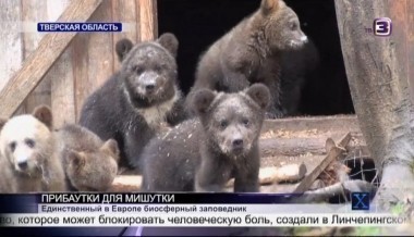  Х-версии. Другие новости | 2 сезон, 55 выпуск (полный)