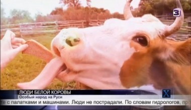 Х-версии. Другие новости | 2 сезон, 97 выпуск (полный)