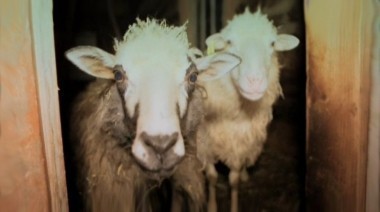 Колдуны мира | 2 сезон, 2 выпуск | Украинские босорки