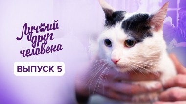 Лучший друг человека, 5 выпуск