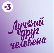 Лучший друг человека
