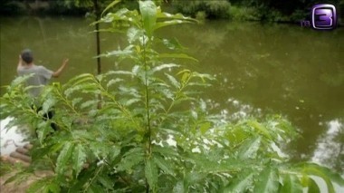 Мистические истории. 95 выпуск