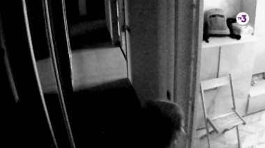 Охотники за привидениями 3, 3 сезон, 39 серия