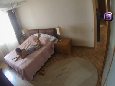 Охотники за привидениями, 3 сезон, 46 серия