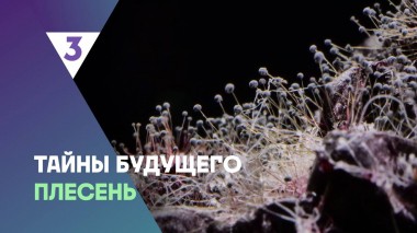 Тайны будущего, 1 сезон, 2 выпуск