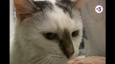 Тайные знаки, 1 сезон, 268 серия